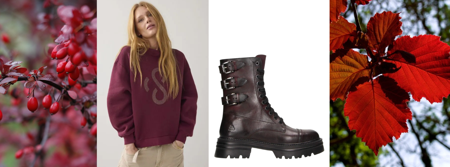 Burgundy: Dé Trendkleur van dit Seizoen 