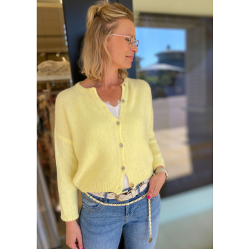 Beauregard Vest alpaca Geel foto 1