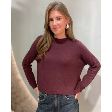 Alexandre Laurent Paris  sweater viscose Aubergine foto 1