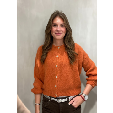 Beauregard Petite chic cardigan Brique foto 1
