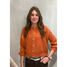 Beauregard Petite chic cardigan Brique