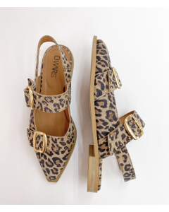 Dwrs Port Isabel Leopard Print foto 1